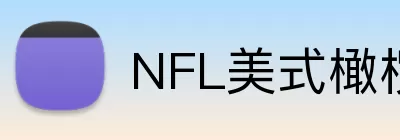 NFL美式橄榄球 logo
